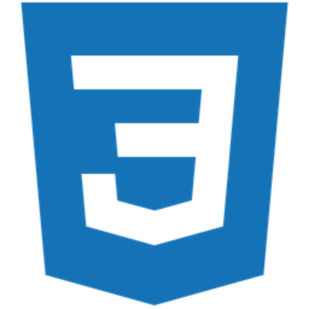 CSS Logo
